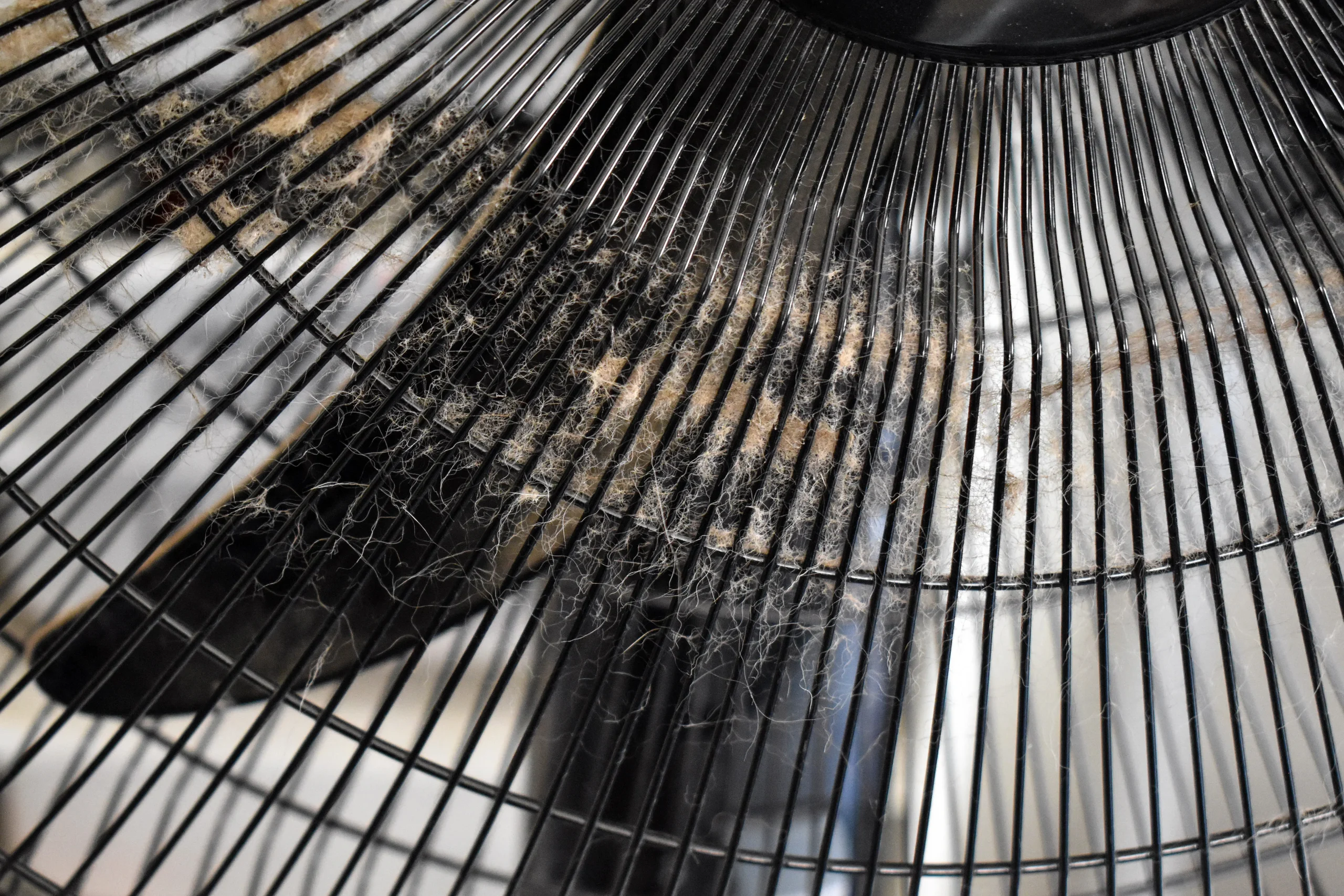 Close-up de ventilador com acúmulo de poeira e sujeira nas grades e pás, indicando necessidade de limpeza e manutenção.